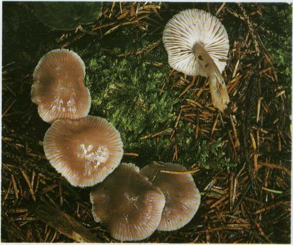 ������ ������ ������ ��r�